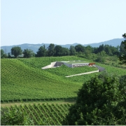 Progetto azienda agricola palazzo